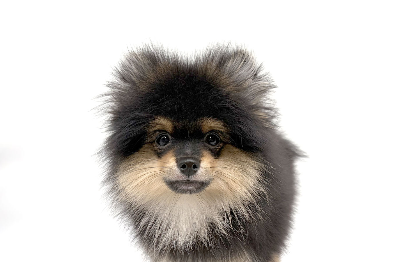 62469