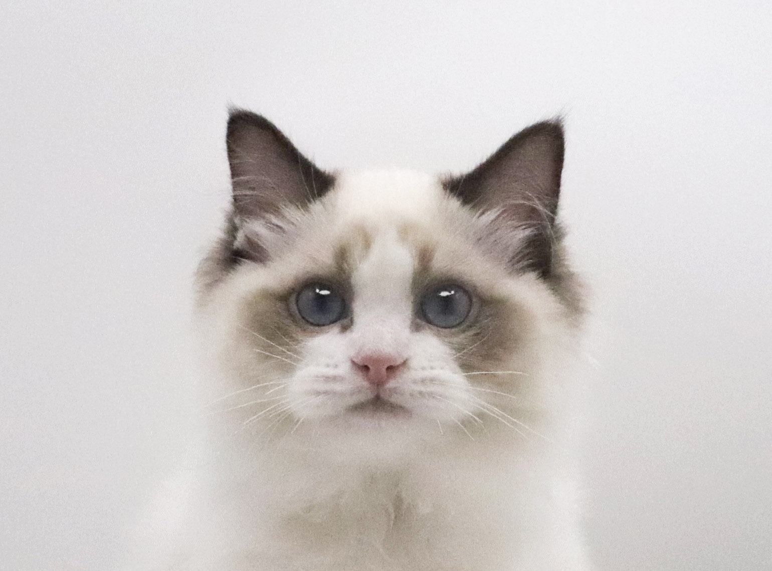 62472