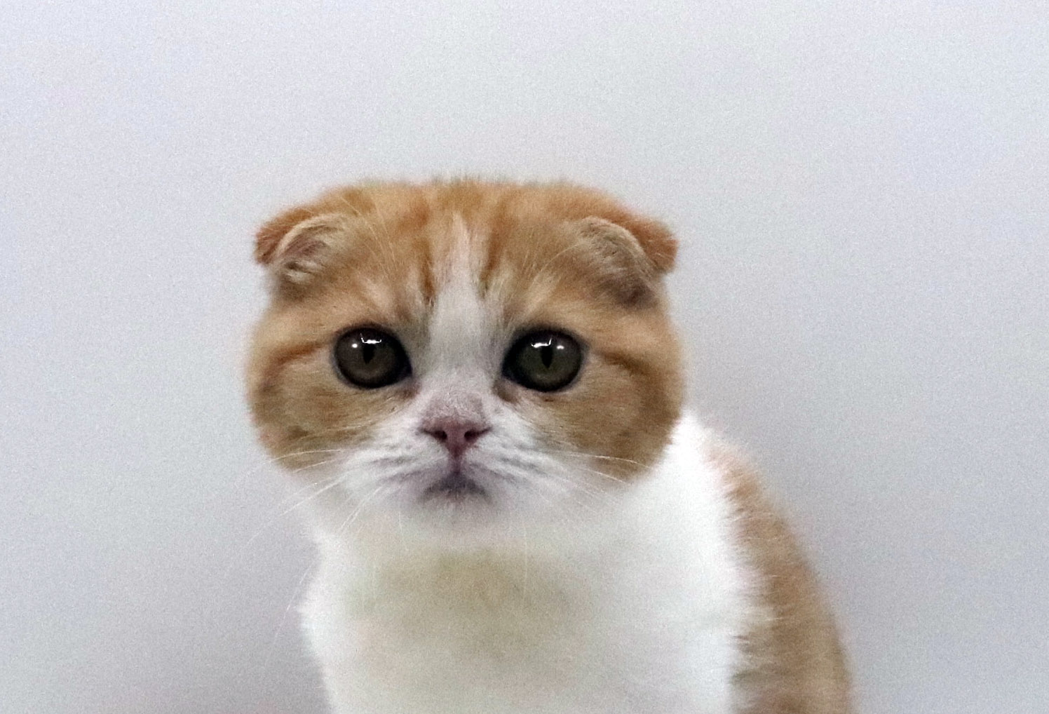 62806